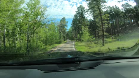 Fahrt-Durch-Kurvenreiche-Einspurige-Bergstraße-Im-Sonnigen-Wald