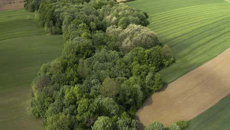 filming extremely flat land and forest between two agricultural field in bosnia and herzegovina