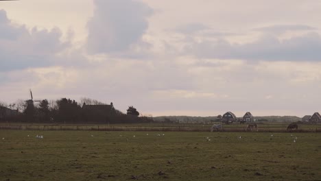 small rural community in ameland, the netherlands