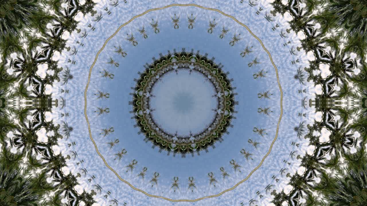 코코  나무의 추상적인 배경의 원형 광학 착각.