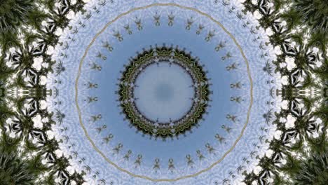 circular illusion optic of abstract background of coconut palm tree.
