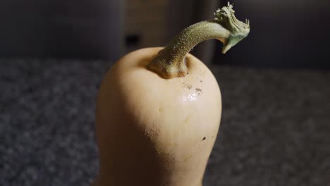 butternut on the kitchen island close up view, zoom in