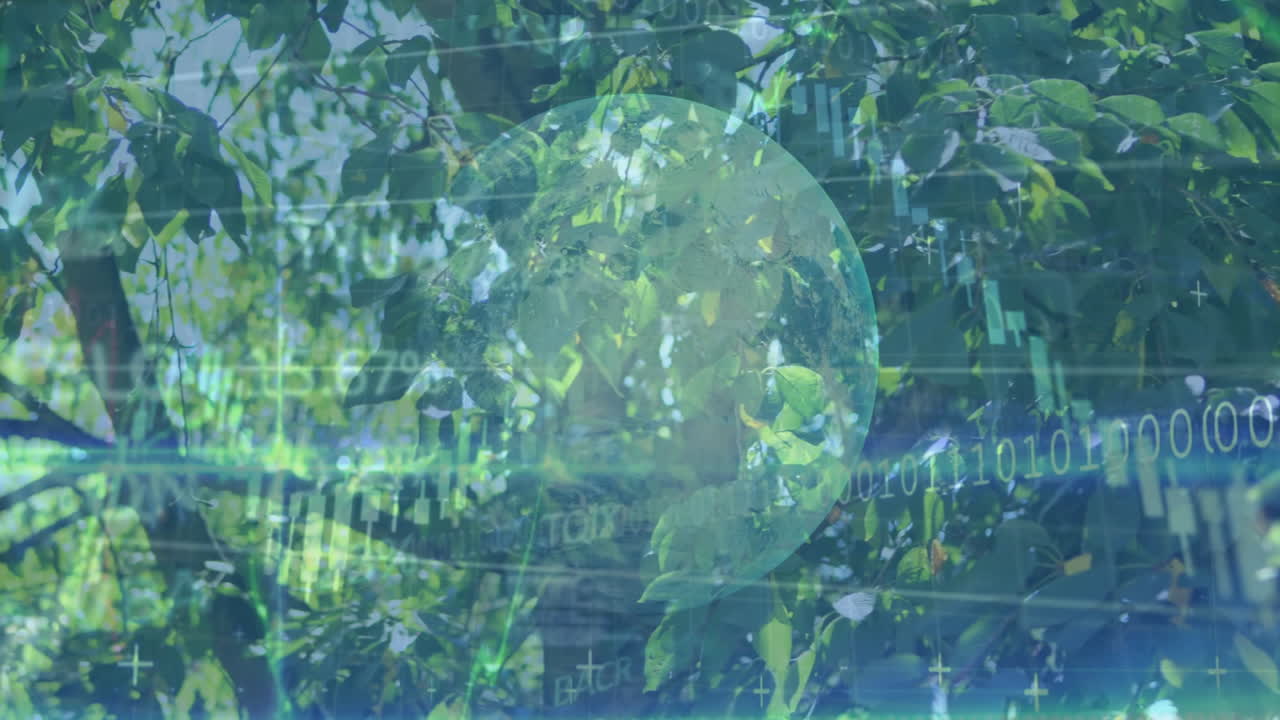 Translucent globe floating over forest canopy, blending with binary code, neon lines, data markers