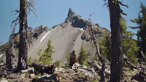 montaña puntiaguda nevada de verano con árboles en primer plano