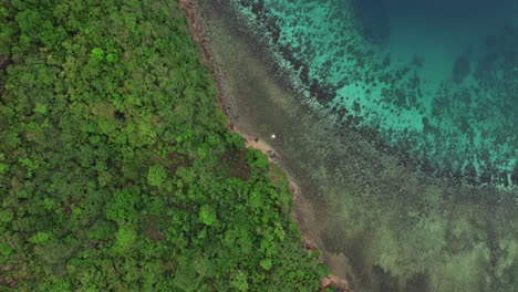 still aerial view about the lush island coastline and its beautiful environment, southeast asia, philippines