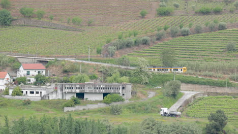 scenic train ride passing through douro valley and residential houses