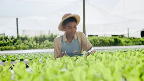 woman farmer inspecting plants in greenhouse