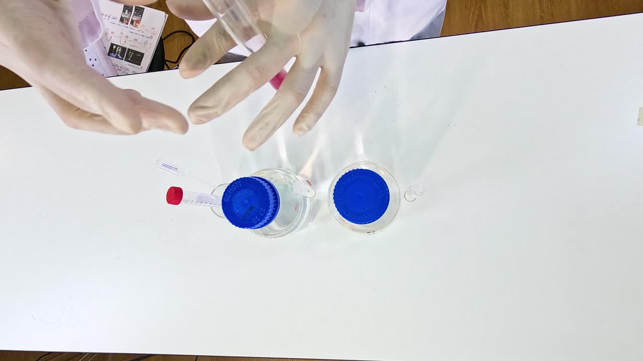 Hands in gloves conduct a chemical experiment with potassium permanganate, showcasing color change in a lab setting