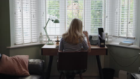 a living room scene with a dog, furniture, and a woman at a desk