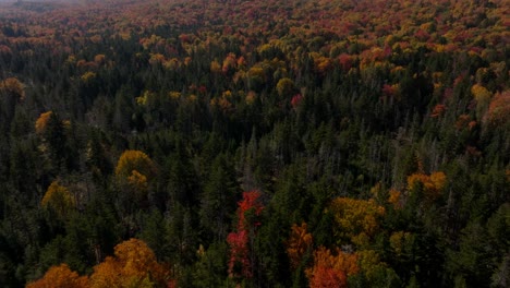 Follaje-De-Otoño-En-New-Hampshire-Desde-Una-Vista-De-Drone