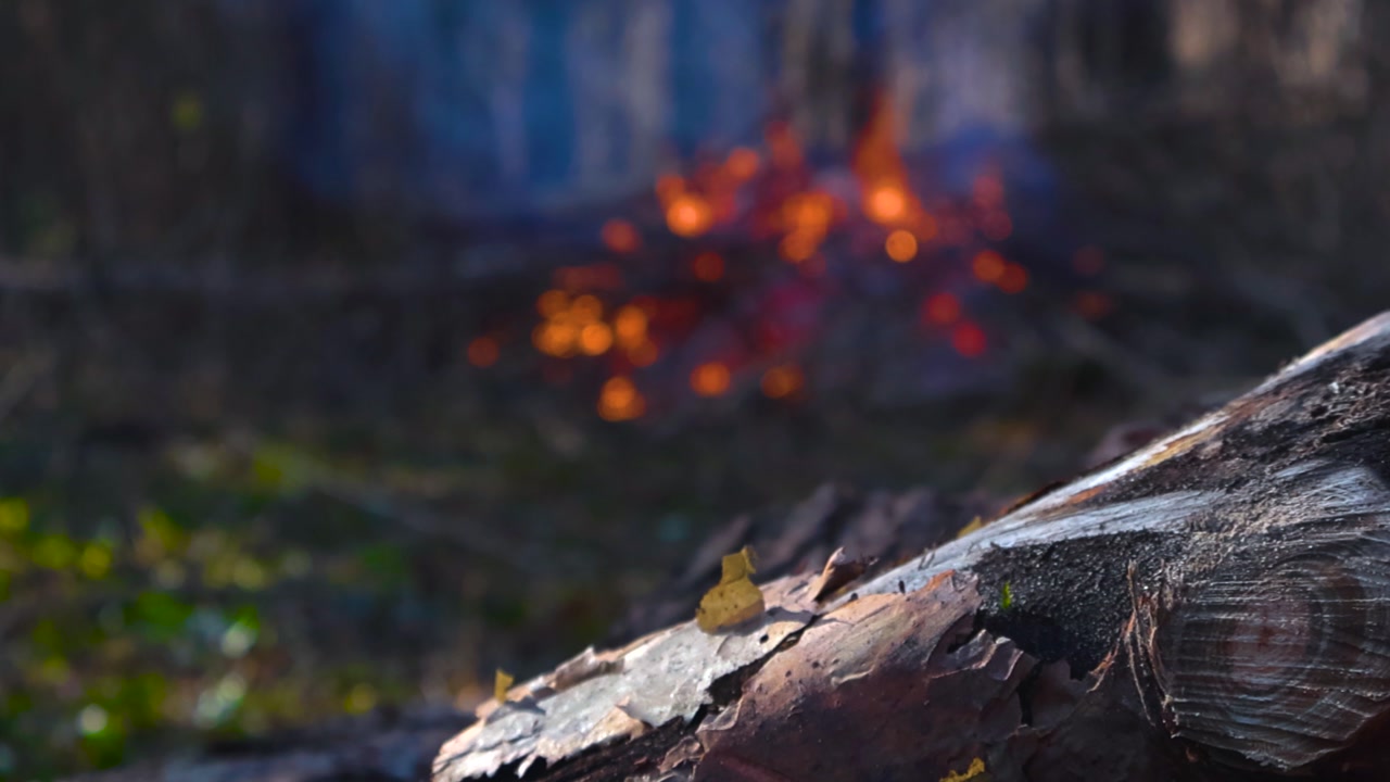 Cozy bonfire burning with bright orange flames and smoke in a beautiful, out of focus bokeh background, with a detailed cut log resting in the sunlit foreground of a peaceful forest