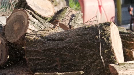 Zeitlupenansicht-Des-Holzstammes,-Der-An-Einem-Sonnigen-Tag-Auf-Einen-Stapel-Bereits-Geschnittener-Baumstämme-Fällt---Nahaufnahme