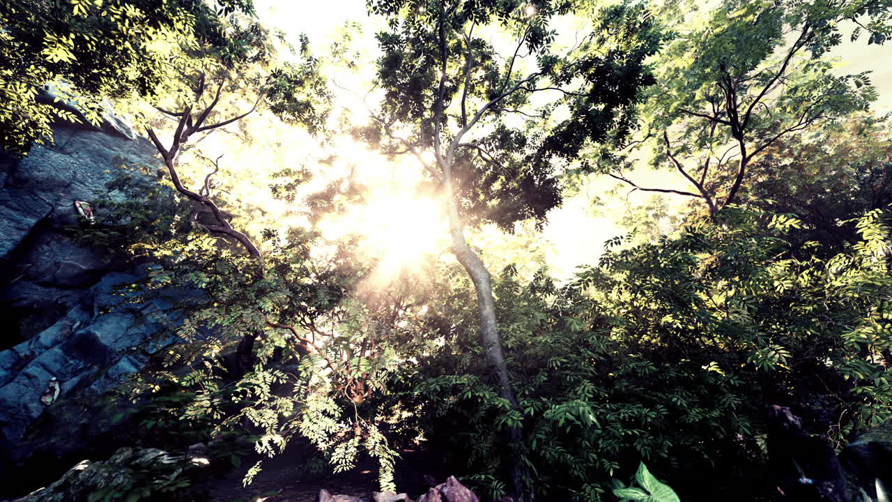 정글의 천막을 가로지르는 빛