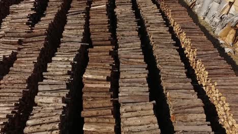 stacks of logs, aerial dynamic