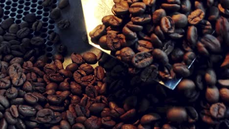 revolviendo granos de café recién tostados en el tostador - cerrar cámara lenta