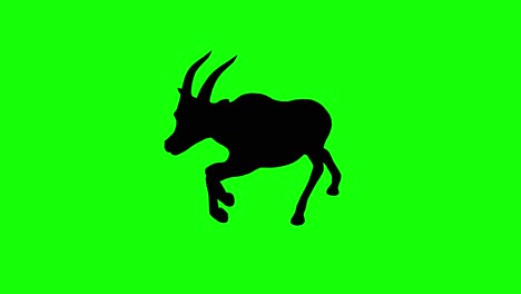 a silhouette of a gazelle running on green screen, perspective view