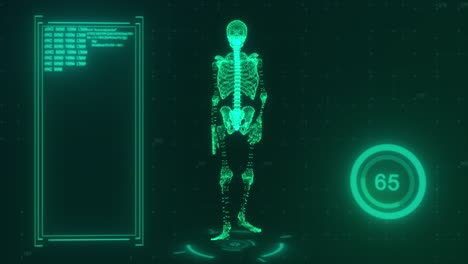 technological concept. walking 3d model of a skeleton on the background of technology. green color. 3d animation