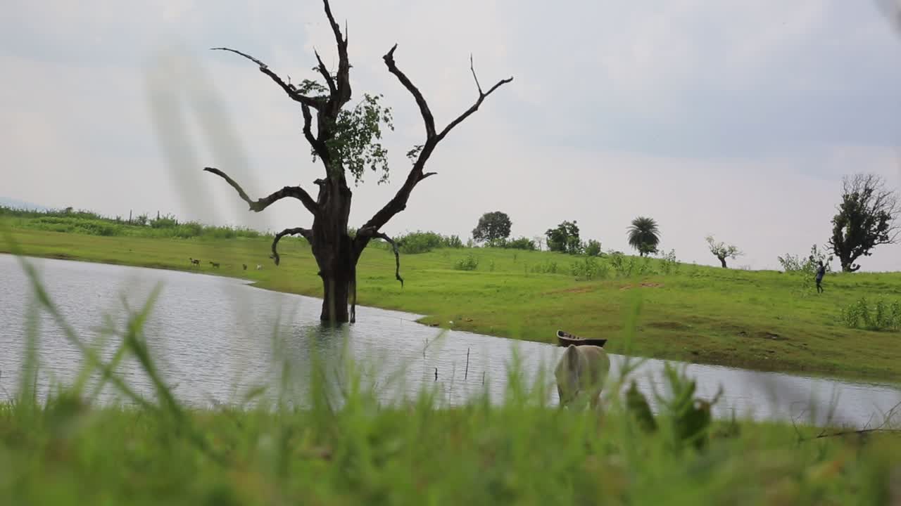 강  ⁇ 에서 먹고 있는 외로운 제부, 배경에서  ⁇ 고 있는 알아볼 수 없는 남자