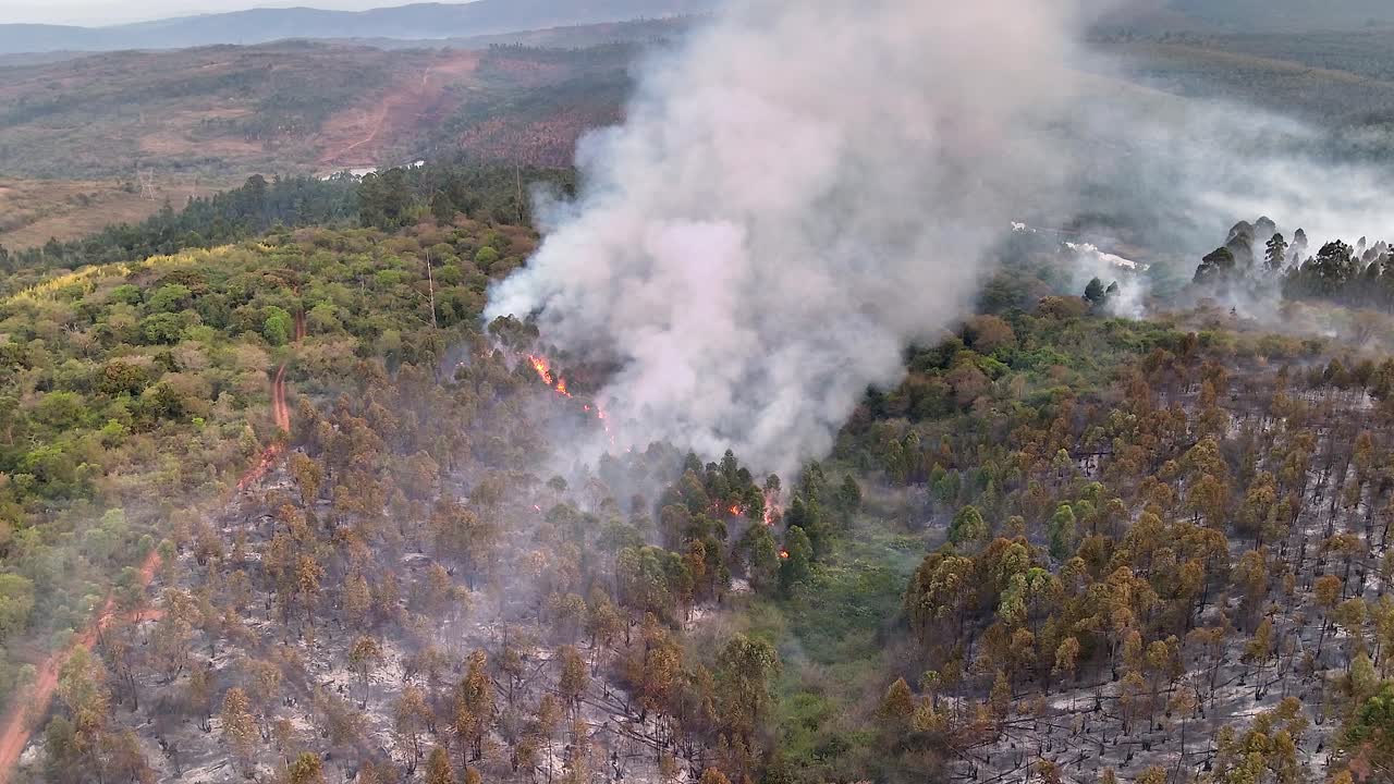 Aerial view of orange flames in hilltop forest fire, natural disaster