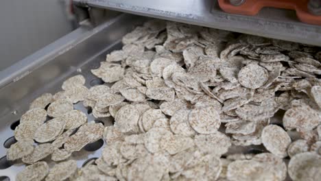 close shot of a einkorn chips coming out of a machine