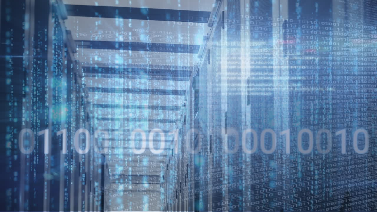 Animation of binary coding and data processing over computer servers