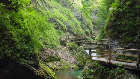 vintgar gorge scenic river and rocky cliffs in triglav national park, slovenia