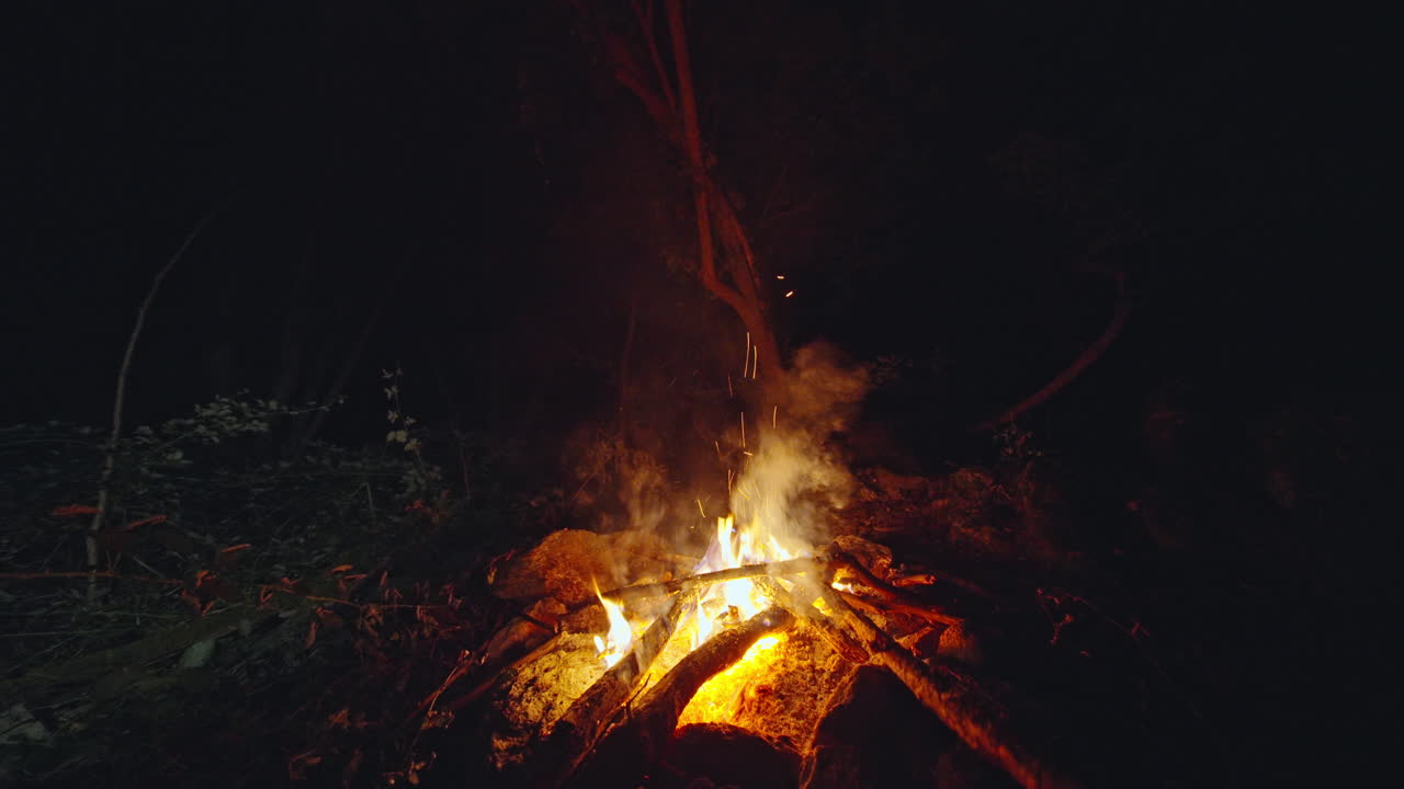 Crackling campfire glows brightly in nighttime forest scene