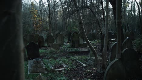 endless graves in an english forest graveyard