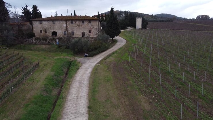 Frescobaldi vineyard aerial view along pathway above farmhouse to reveal Chianti winemaking hillside growth