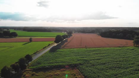 Vuelo-Aéreo-De-Drones-Hacia-El-Cielo-Brillante-Sobre-árboles-Y-Campos