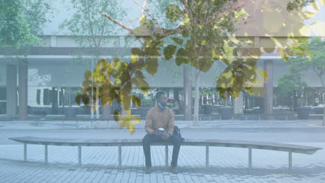 Animation-of-tree-in-sun-with-man-wearing-face-mask-drinking-coffee-sitting-in-empty-street