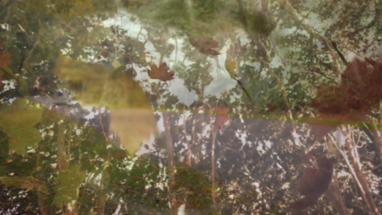 Swaying leaves and branches in sunlight with birds flying in animation overhead