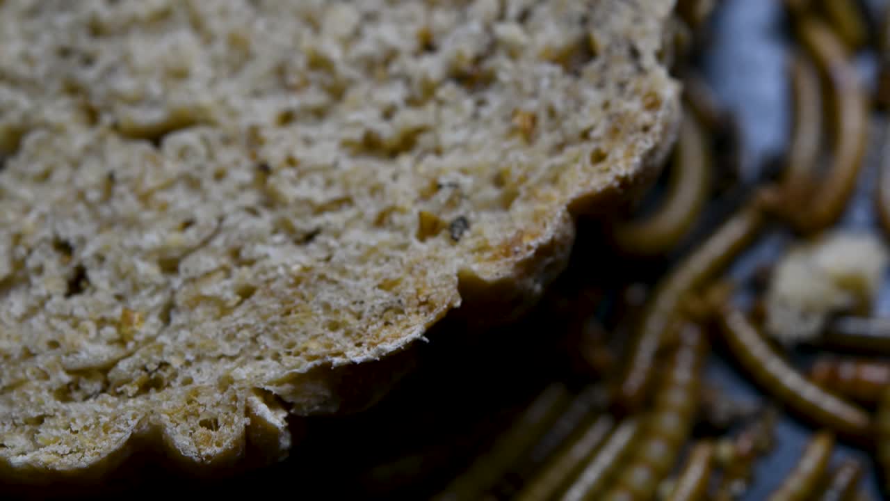 밀웜은 물고기, 뱀, 새, 개구리와 같은 애완동물에게 먹이를 주는 데 사용되는 딱정벌레의 일종입니다.