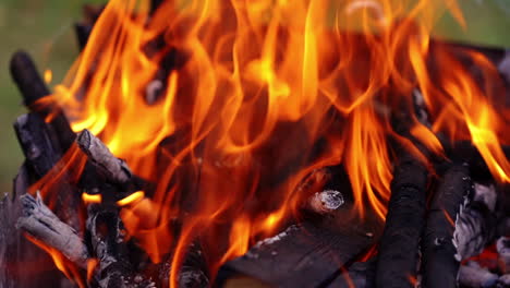 burning firewood in the fireplace. atmospheric warm background with orange flame of campfire