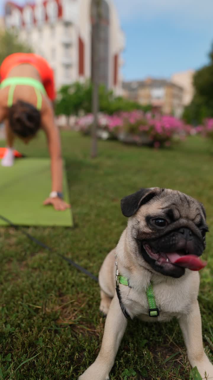 mujer haciendo ejercicio de tabla en un parque con un perro