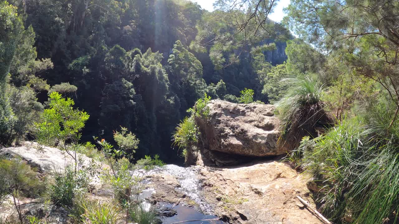 agua que fluye sobre las rocas en un denso bosque