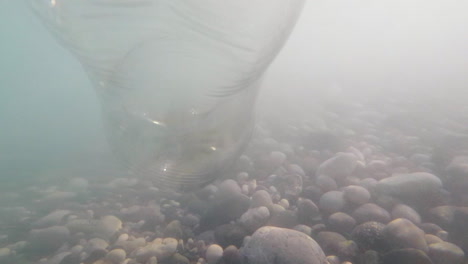 empty plastic bottles sink to the bottom of the sea carry a danger to the marine inhabitants