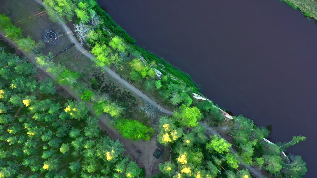 Aerial View of Riverside Trail and Forest Trees With Campfire Spot by Gauja River