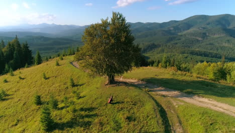 musician near the green tree playing cello. amazing nature background in mountainous area. professional cellist with musical instrument on a hill. top view.