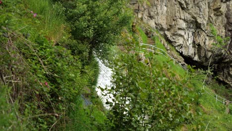 View-Through-Green-Bushes-of-Todtnau-Waterfall