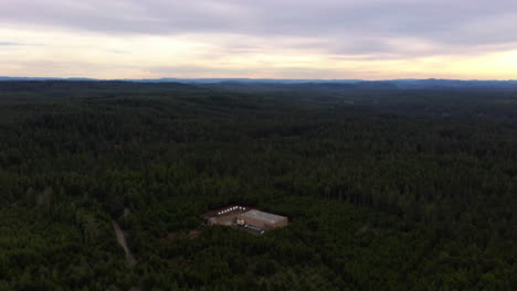 Ein-Industriegebäude-Mitten-Im-Wald---Luftrückzug