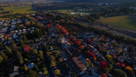 aerial-pull-back-during-Autumn-season-show-casing-vibrant-colorful-tree's-in-the-Napa-Valley