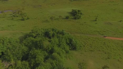 aerial view of a cowboy galloping his horse by a red dirt path in the venezuelan plains slow motion