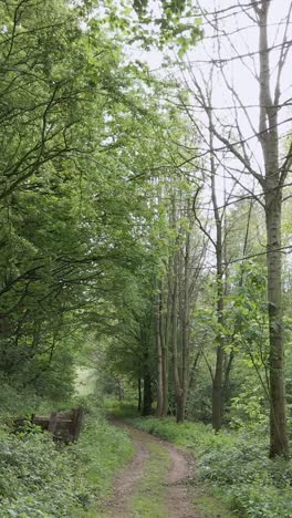 Drone-Vertical-Video-Of-Man-On-Mountain-Bike-Cycling-Doing-Mid-Air-Jump-On-Trail-Through-Woodland