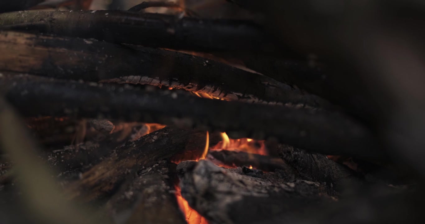 Primo piano di un falò, fiamme ardenti - Rami bruciati.