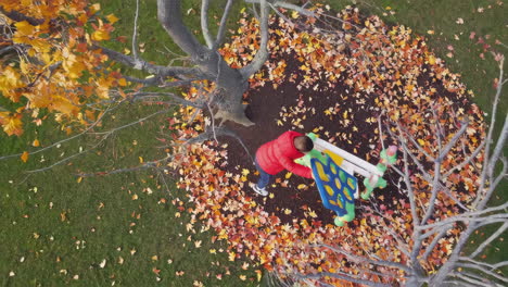overhead view of a child playing on a playground slide in autumn leaves