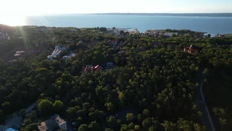 Aerial-View-Of-Dense-Forest-Trees-At-Krynica-Morska-With-Coastline-Seen-In-Distance