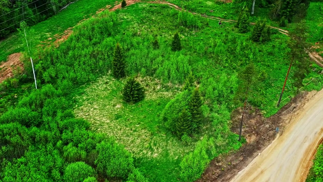 Hermosa vista aérea de un claro de bosque de un verde vibrante junto a un camino rural de tierra sinuoso.