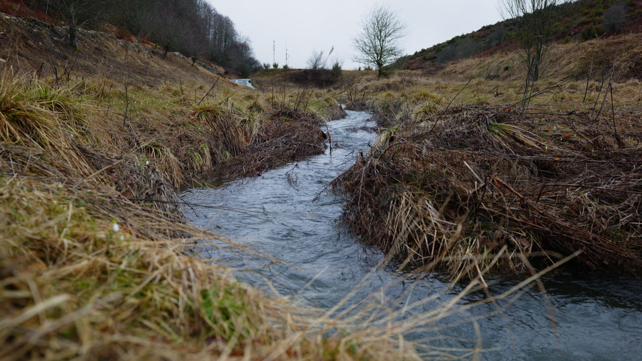 A narrow stream meanders through a grassy and rugged countryside. Perfect for nature themes, environmental projects, or tranquil landscape scenes.