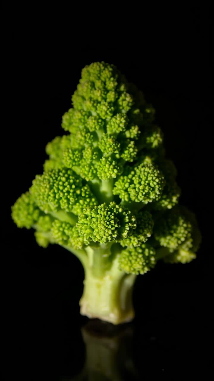 Romanesco Broccoli on Dark Background